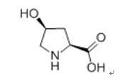 L-羥脯氨酸 來源、性質(zhì)與應(yīng)用