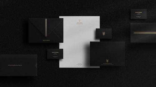 巴西商業咨詢公司maestrina品牌設計