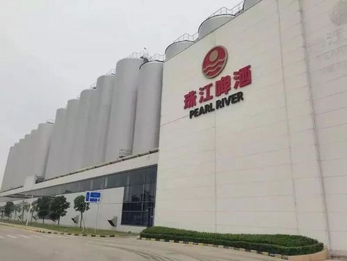 南沙崛起 廣州下一個琶醍，商務信息咨詢新機遇